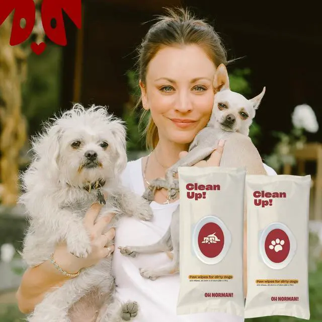 Alt view image 5 of 6 - OH NORMAN! Clean Up Paw Wipes for Dogs, Plant-Based, Unscented, 100 Ct | Unscented, plant based, 8x7in wipes to clean muddy, dirty paws after walks & hikes. 100-count value pack. Vet reviewed.