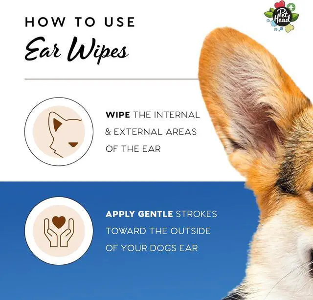 Alt view image 6 of 6 - Pet Head Health Ear Wipes for Cats and Dogs | Fragrance-Free | 30 Wipes | Cleans, Deodorizes and Moisturizes | Removes Dirt, Wax, Discharge, and Debris | Biodegradable and Plant-based Dog Ear Cleaner