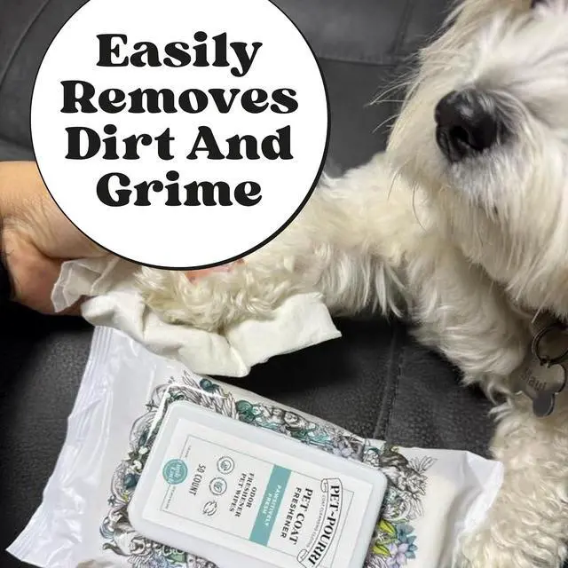 Alt view image 7 of 7 - Poo-Pourri Pawsitively Fresh Deodorizing Pet Wipes Quick Cleaning Wipes for Dogs & Cats Plant Based Ingredients Vet Recommended Cleaner Odor Remover Wipes for Paw, Fur & Skin Soothing