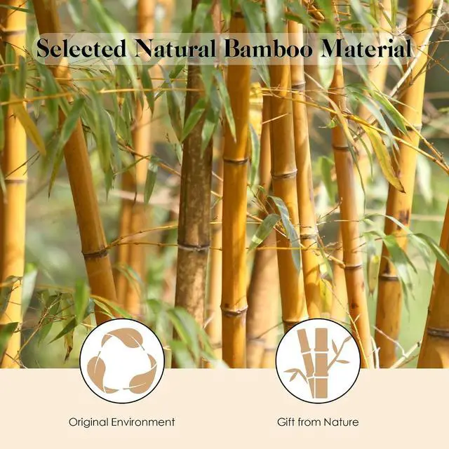 Alt view image 4 of 6 - GAINWELL Bamboo Hair Brush for Hair Growth, Natural Bamboo Bristles Detangling Wooden Paddle Hairbrush for Massaging Scalp, for Women Men and Kids, for All Hair Types, with Ergonomic Handle