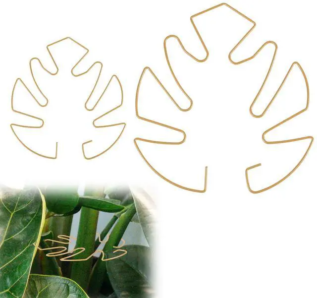 Main image of BOXOB 2pcs Monstera Leaf Plant Support, 2 Size Climbing Stem Stand Hooks, Monstera Stakes Grapple Pole Holder Turtle Shell Clamp Set, Gold