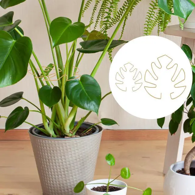 Alt view image 2 of 7 - BOXOB 2pcs Monstera Leaf Plant Support, 2 Size Climbing Stem Stand Hooks, Monstera Stakes Grapple Pole Holder Turtle Shell Clamp Set, Gold
