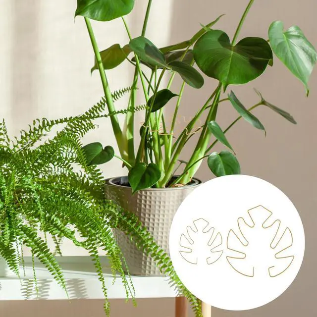 Alt view image 6 of 7 - BOXOB 2pcs Monstera Leaf Plant Support, 2 Size Climbing Stem Stand Hooks, Monstera Stakes Grapple Pole Holder Turtle Shell Clamp Set, Gold