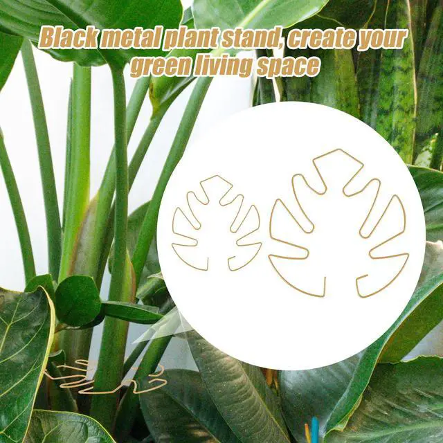Alt view image 5 of 7 - BOXOB 2pcs Monstera Leaf Plant Support, 2 Size Climbing Stem Stand Hooks, Monstera Stakes Grapple Pole Holder Turtle Shell Clamp Set, Gold