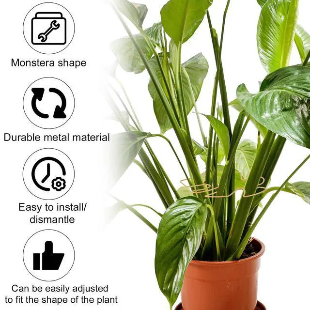 Alt view image 4 of 7 - BOXOB 2pcs Monstera Leaf Plant Support, 2 Size Climbing Stem Stand Hooks, Monstera Stakes Grapple Pole Holder Turtle Shell Clamp Set, Gold