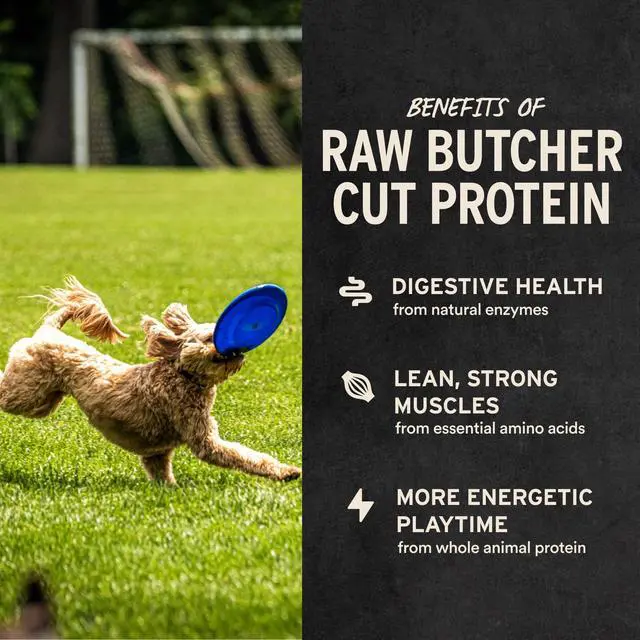 Alt view image 4 of 6 - Vital Essentials Freeze Dried Dog Treats Beef Liver 2.1oz Bag
