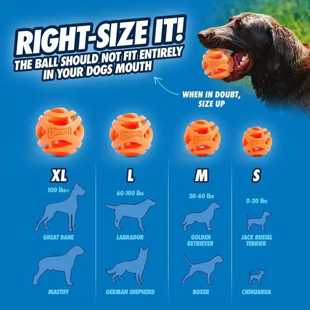 Alt view image 4 of 6 - Chuckit! Air Fetch Ball, Large 3in, 1 Pack, for Dogs 60-100lbs