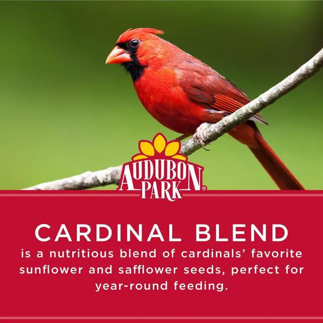 Alt view image 5 of 6 - Audubon Park Cardinal Blend Wild Bird Seed for Outside Feeders, 4-Pound Bag