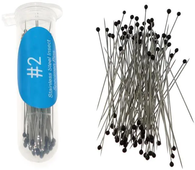 Main image of 40mm 2# Stainless Steel Pins, 100 Pieces/Can for Entomology, Dissection and Butterfly Collections