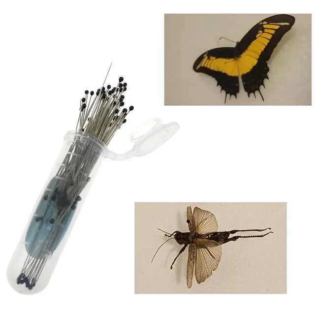Alt view image 6 of 6 - 40mm 2# Stainless Steel Pins, 100 Pieces/Can for Entomology, Dissection and Butterfly Collections