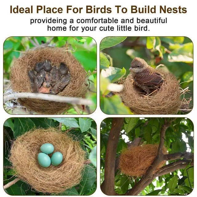 Alt view image 5 of 6 - Sukh 2PCS Coconut Fiber Bird Nest Bedding for Hummingbird Finch