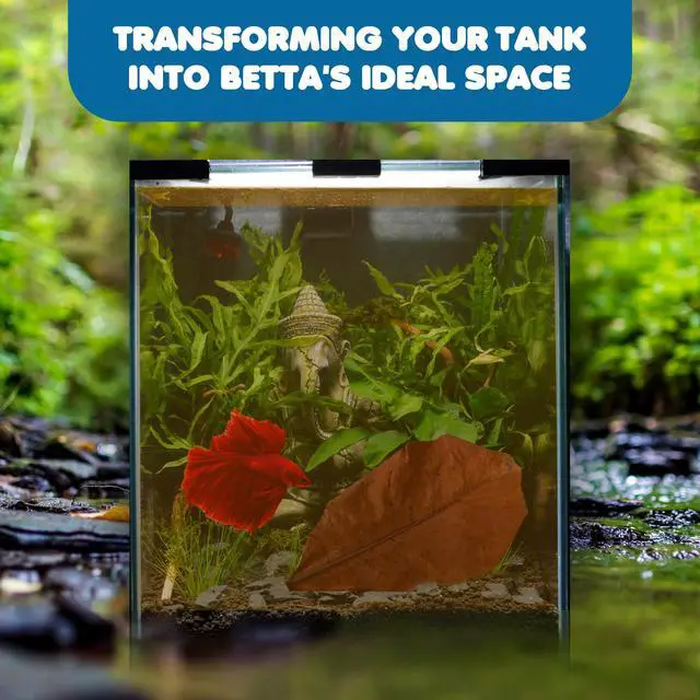 Alt view image 2 of 7 - SunGrow Betta Leaves, Indian Almond Leaves