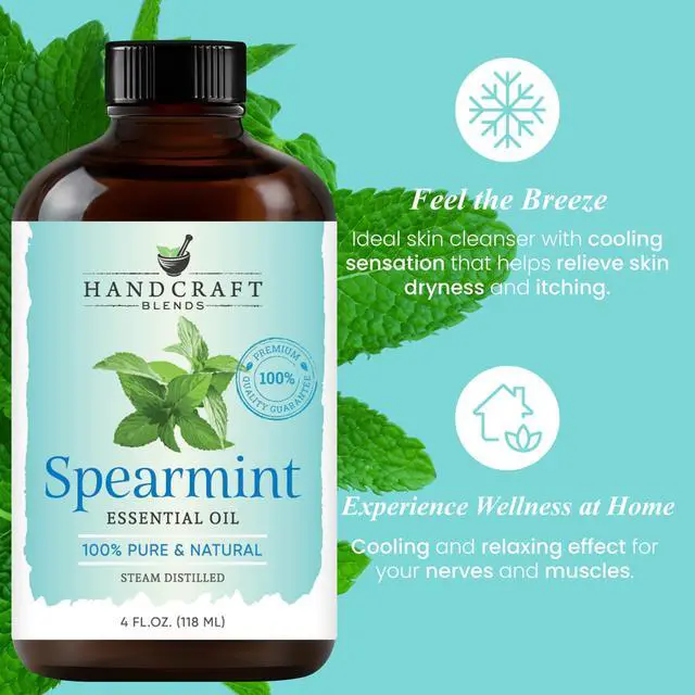 Alt view image 4 of 7 - Handcraft Blends Spearmint Essential Oil - 4 Fl Oz