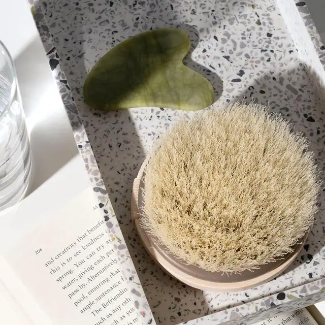 Alt view image 6 of 6 - EcoTools Dry Body Brush for Dry Brushing, Smooth Skin, 1 Count