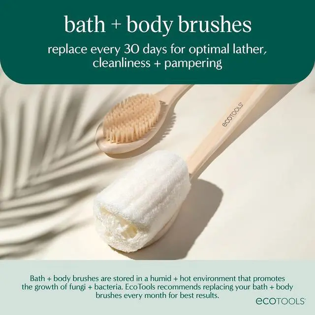 Alt view image 4 of 6 - EcoTools Dry Body Brush for Dry Brushing, Smooth Skin, 1 Count