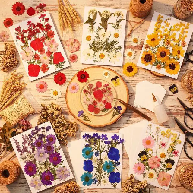 Alt view image 5 of 6 - 106Pcs Compressed Dried Natural Flowers and Leaves for Resin
