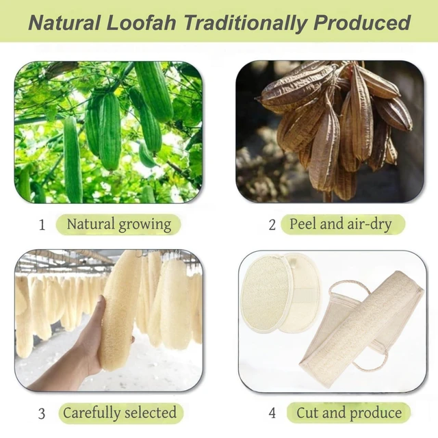 Alt view image 4 of 7 - Natural Loofah Exfoliating Body Scrubber, 2-Piece Bath Set