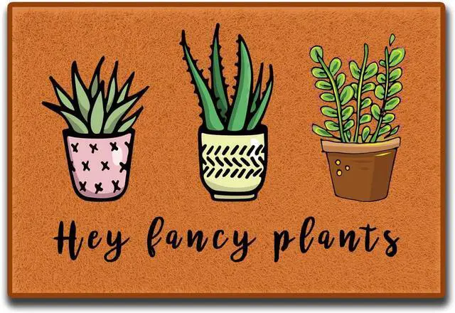 Main image of Accssoey Funny Door Mat, Hey Fancy Plants Spring Entrance Way Non Slip Backing Funny Doormat Indoor Outdoor Rug 16" W x 24" L