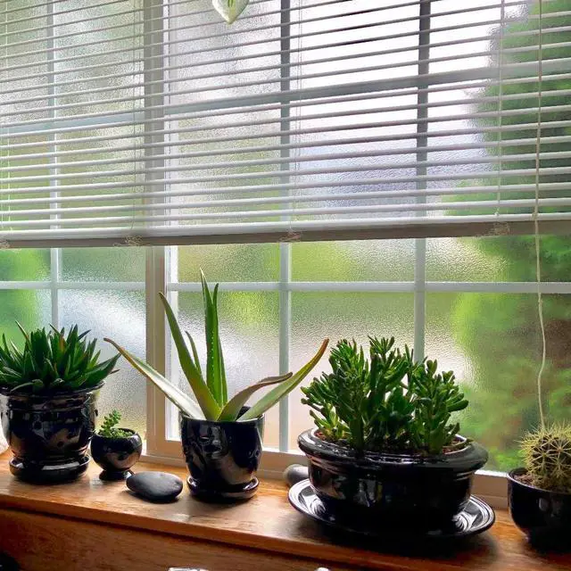 Alt view image 4 of 7 - Crystal Etched Window Film Privacy No Glue Anti UV Removable 17.5x78.7in | Cover Decal Tint Decor Office Apartment Balcony Sun Blocking Light Filtering Glare Reduction Heat Control
