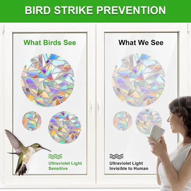 Alt view image 2 of 6 - Window Decals for Birds Strikes, DELLAN 35 Anti-Collision Bird Deflectors | Suncatcher Stickers Rainbow Window Clings for Glass Windows