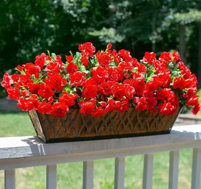 Alt view image 2 of 7 - Ivydale Artificial Faux Red Flowers Plants for Outdoor Outside Spring Decor, Fake Silk Camellia UV Resistant Look Real for Planter Porch Patio Balcony Garden Table Indoor, 3 Large Bundles