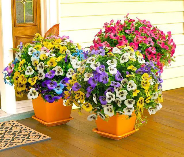 Alt view image 6 of 7 - Artificial Flowers for Outdoors Faux Plants, 14 pcs Realistic Fake Pansies Faux Silk Flowers Artificial Plants Outdoor UV Resistant for Porch Garden Patio Window Box Decor