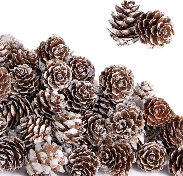 Main image of 150 Pcs Christmas Natural Mini Pine Cones - Small Xmas Snow Pinecones Decor | 1" Thanksgiving Mini Snow Pinecones Ornaments for DIY Crafts Vase Fillers Fall Winter Home Xmas Tree Decor