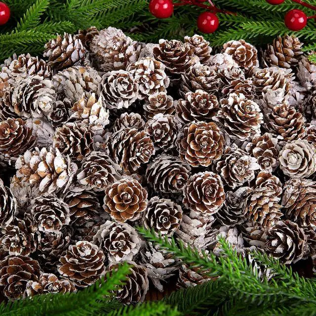 Alt view image 4 of 7 - 150 Pcs Christmas Natural Mini Pine Cones - Small Xmas Snow Pinecones Decor | 1" Thanksgiving Mini Snow Pinecones Ornaments for DIY Crafts Vase Fillers Fall Winter Home Xmas Tree Decor