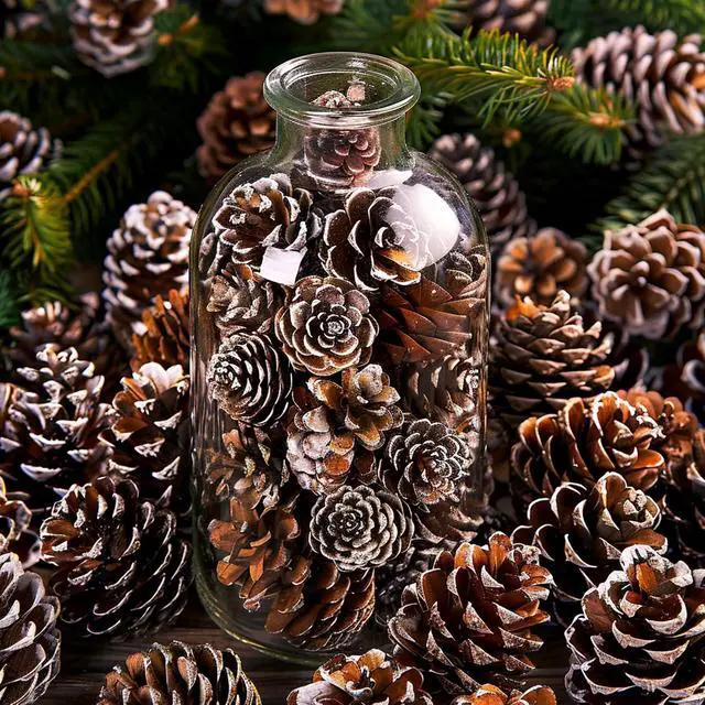 Alt view image 5 of 7 - 150 Pcs Christmas Natural Mini Pine Cones - Small Xmas Snow Pinecones Decor | 1" Thanksgiving Mini Snow Pinecones Ornaments for DIY Crafts Vase Fillers Fall Winter Home Xmas Tree Decor