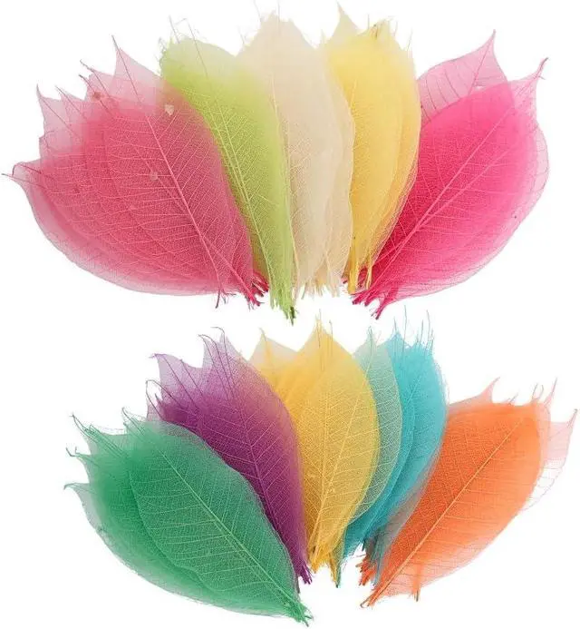 Alt view image 5 of 5 - Mixed Colors 4-5 Inches 100 PCS Natural Skeleton Leaves, Real Rubber Tree Leaf Veins for Resin Art, Scrapbooking, Card Making, Wedding Decorations and DIY Crafts(Mixed Colors)