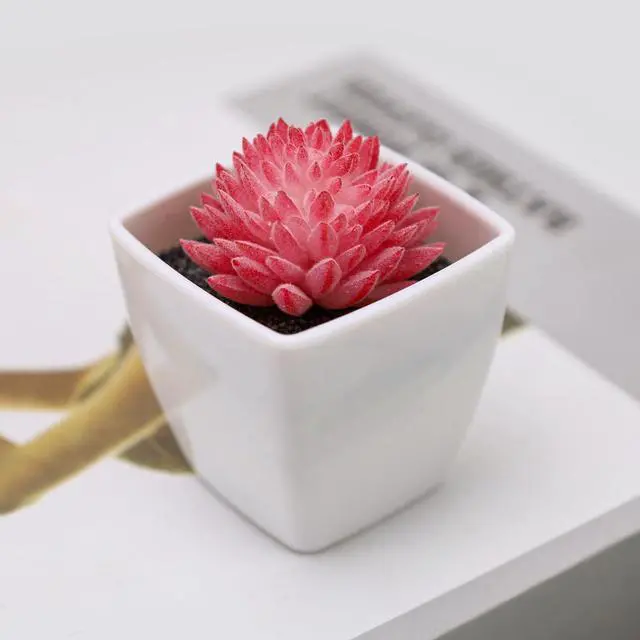 Alt view image 7 of 7 - Woration 6Pcs Mini Artificial Pink Plastic Succulent Fake Plants Potted | Faux Succulents in White Pots, No watering needed, desk office home decor, Floral arrangement craft