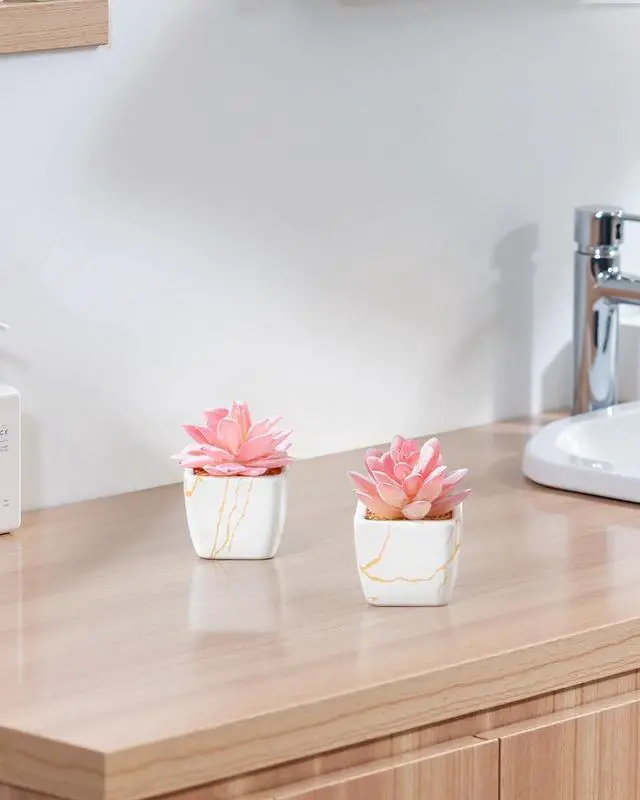 Alt view image 3 of 6 - Taybonds Artificial Succulent in 2PCS White Ceramic Pot, Small Fake Succulents Plants for Office and Desk Decor,Bathroom, Bedroom, Shelves, Vanity for Women