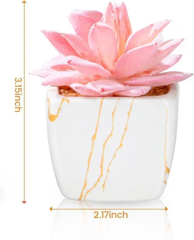 Alt view image 4 of 6 - Taybonds Artificial Succulent in 2PCS White Ceramic Pot, Small Fake Succulents Plants for Office and Desk Decor,Bathroom, Bedroom, Shelves, Vanity for Women