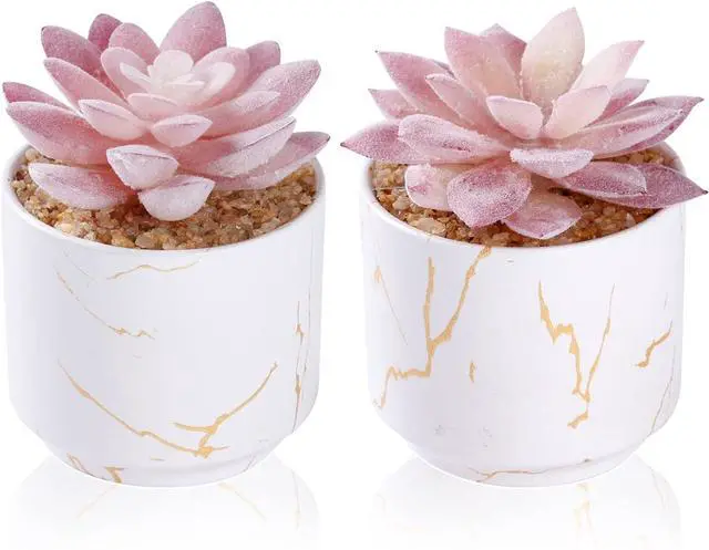 Main image of ZENIDA Artificial Plants and Succulents in 2 White Ceramic Pots,Small Fake Plants for Office and Desk Decor,Bathroom, Bedroom,Shelves for Women