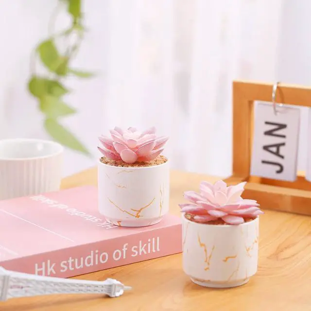 Alt view image 2 of 6 - ZENIDA Artificial Plants and Succulents in 2 White Ceramic Pots,Small Fake Plants for Office and Desk Decor,Bathroom, Bedroom,Shelves for Women