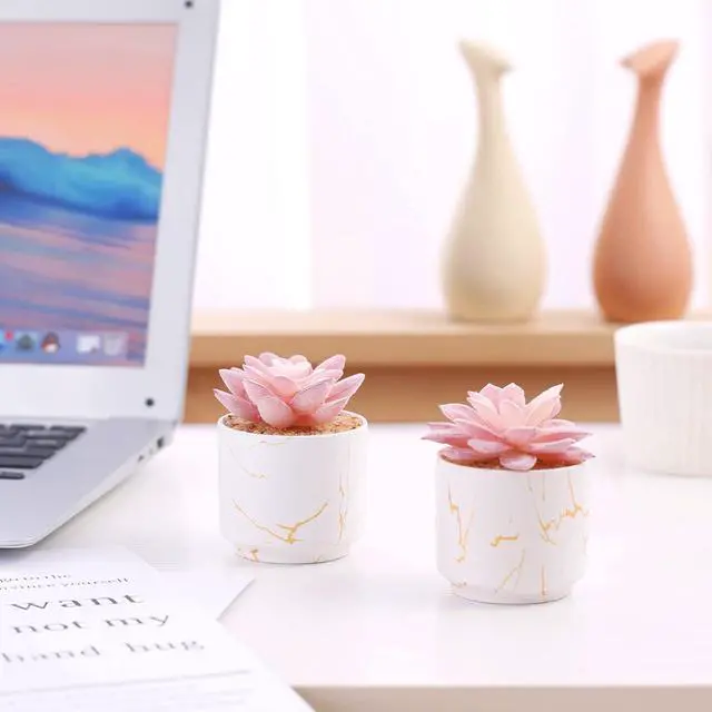 Alt view image 5 of 6 - ZENIDA Artificial Plants and Succulents in 2 White Ceramic Pots,Small Fake Plants for Office and Desk Decor,Bathroom, Bedroom,Shelves for Women