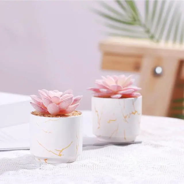 Alt view image 6 of 6 - ZENIDA Artificial Plants and Succulents in 2 White Ceramic Pots,Small Fake Plants for Office and Desk Decor,Bathroom, Bedroom,Shelves for Women