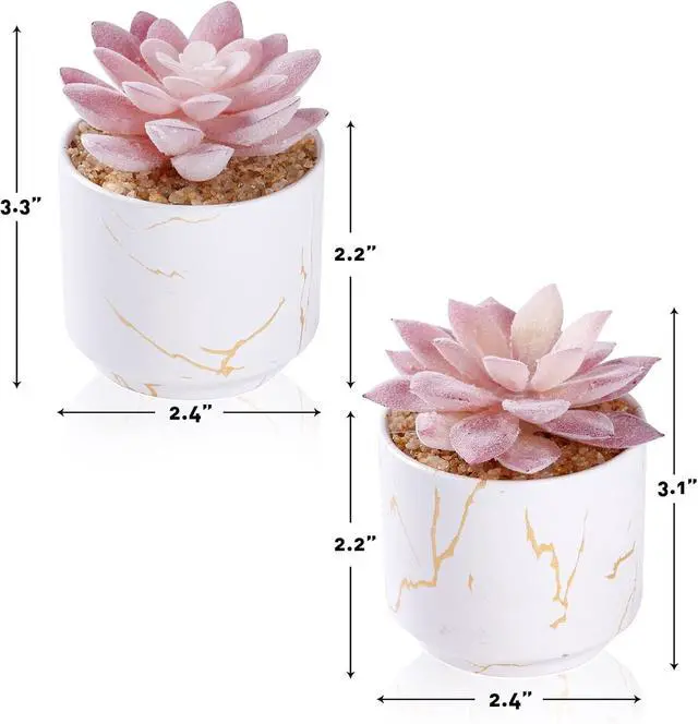 Alt view image 4 of 6 - ZENIDA Artificial Plants and Succulents in 2 White Ceramic Pots,Small Fake Plants for Office and Desk Decor,Bathroom, Bedroom,Shelves for Women