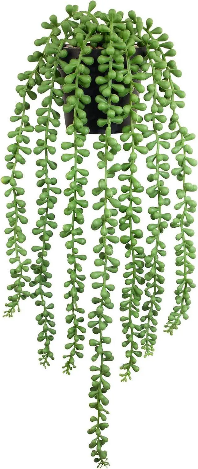 Main image of Realistic Artificial String of Pearls Plant - Faux Hanging Succulent Trailing Plant with Black Pot, Natural-Looking Small Potted Faux Plant Indoor Outdoor for Home Office Shelf Decor