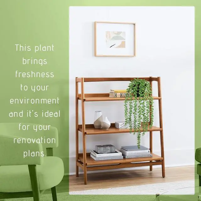 Alt view image 3 of 7 - Realistic Artificial String of Pearls Plant - Faux Hanging Succulent Trailing Plant with Black Pot, Natural-Looking Small Potted Faux Plant Indoor Outdoor for Home Office Shelf Decor