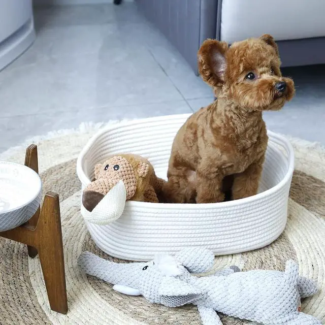 Alt view image 6 of 7 - Woven Cotton Rope Storage Basket, Cube Changing Table Organizer for Closet Towels, Baby Nursery Bin, Small Dog Cat Toy Box, Gift Baskets empty (White)