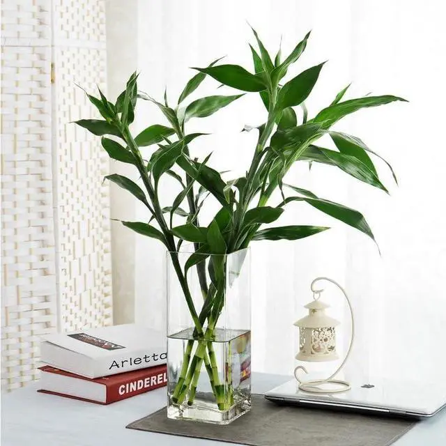 Alt view image 3 of 6 - Acrylic Cylinder Vase, Thick Vase, Non-Breakable Plastic, Decorative Centerpiece for Home or Wedding, 3.94"x7.87" Square - Clear