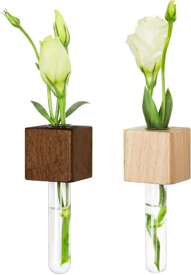 Alt view image 6 of 7 - Magnetic Test Tube Flower Vases for Refrigerator, Set of 2 | Wooden magnetic vases in light and dark finishes for fresh cuttings and plant propagation. Plant not included.