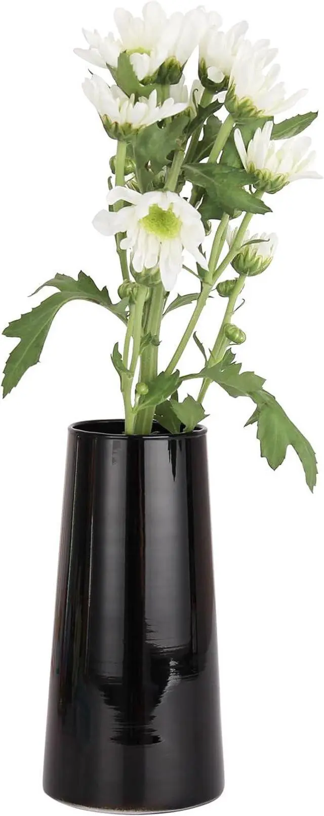 Main image of Black Clear Glass Flower Vases for Decor6" Glass Vase for Centerpieces-Flower Vases for Dried Flower Home Decor Living Room Kitchen Office Wedding(Black, Small)