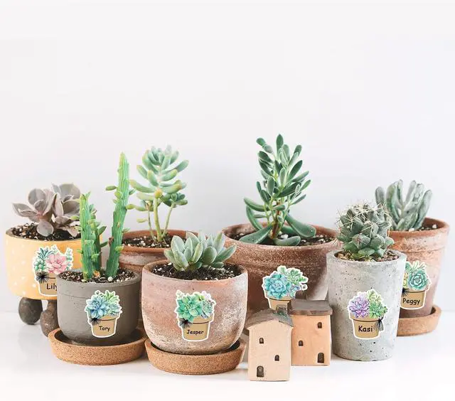 Alt view image 6 of 7 - Whaline 120 Pcs Summer Back to School Succulent Name Tag Stickers 12 Designs Potted Succulent Self-Adhesive Nameplate Decal Blank Name Label for School Classroom Office Desk Wall Decor, 20 Sheet
