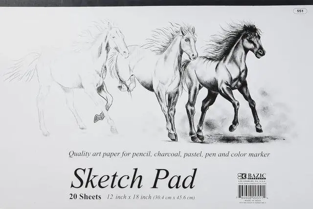 Main image of BAZIC 20 Ct. 18" X 12" Premium Sketch Pad | 20-sheet sketch pad, Smooth drawing paper for sketching, Shading, For school and craft projects