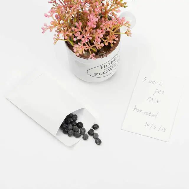 Alt view image 4 of 7 - 100 Pack White Small Coin Envelopes, 2.25"×3.5" | Self-Adhesive, Kraft Paper, Seed Envelopes, For Garden, Office or Wedding Gift, Mini Parts & Stamps Storage