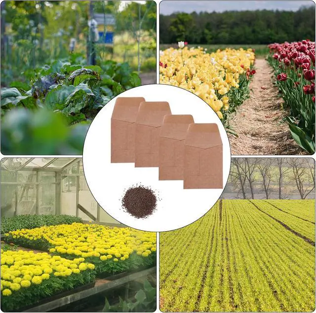 Alt view image 2 of 7 - Tuhangcc 100 Pack Small Coin Envelopes Heavy Duty Self-Adhesive Kraft Seed Envelope Mini Parts Small Items Stamps Storage Packets Envelopes for Garden, Office or Wedding Gift 3.15"×3.5"