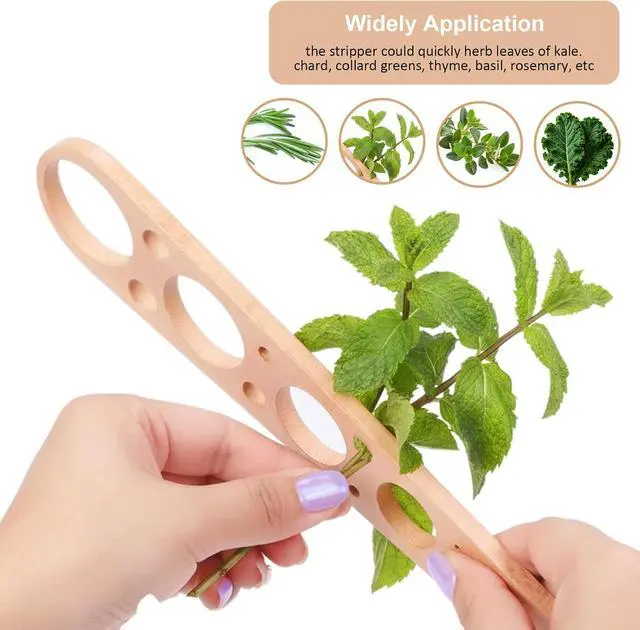 Alt view image 6 of 7 - Pasta Measuring Tool with 5 Measurings Holes | Wood Spaghetti Measuring Tool,Quick Spaghetti Portion Tools for Kitchen Cooking