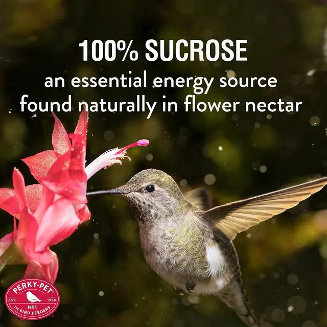 Alt view image 2 of 6 - Perky-Pet Hummingbird Nectar Concentrate for Hummingbird Feeders - 8 oz Powder - Makes 48 fl oz Nectar - 240SF - Attract and Feed Humming Birds